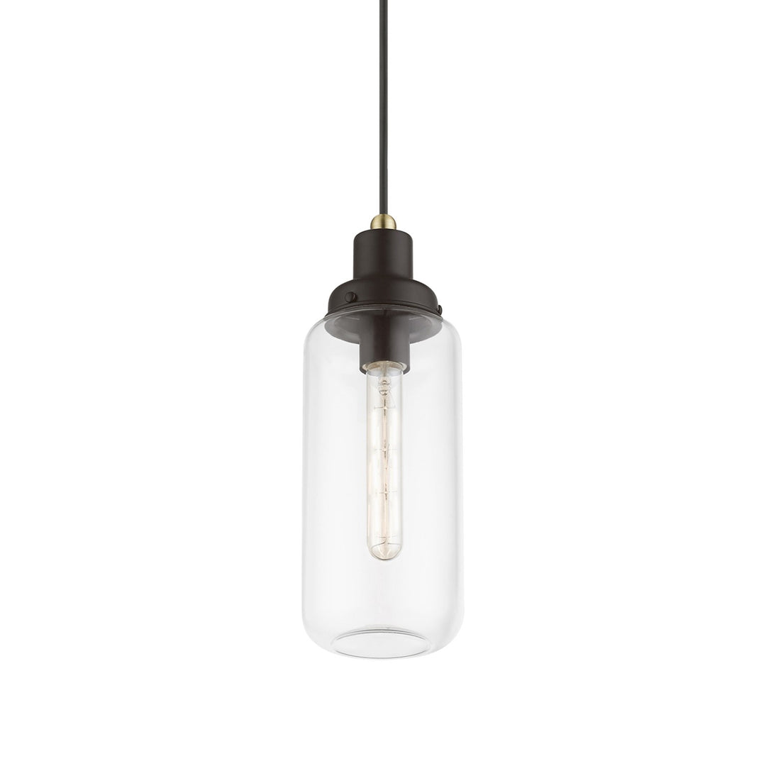 1 Light Bronze With Antique Brass Accent Mini Pendant