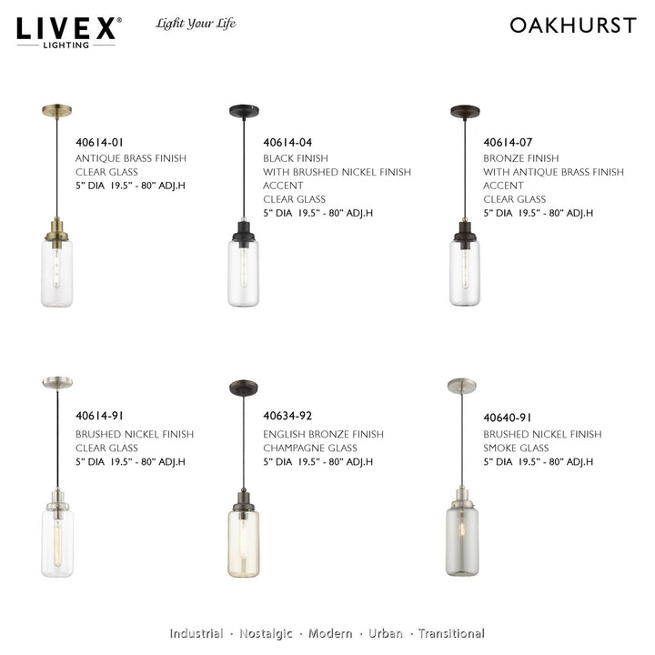 1 Light Bronze With Antique Brass Accent Mini Pendant