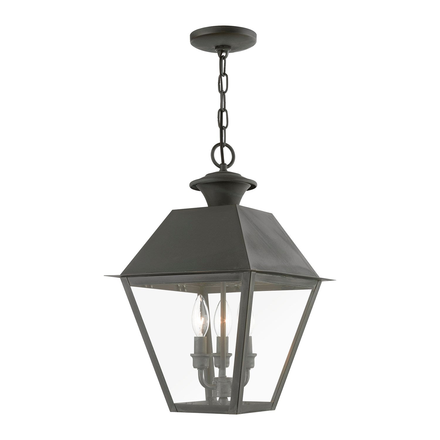 3 Light Charcoal Outdoor Large Pendant Lantern by Livex Lighting