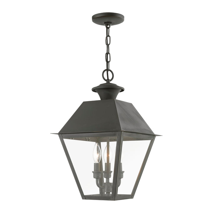 3 Light Charcoal Outdoor Large Pendant Lantern by Livex Lighting