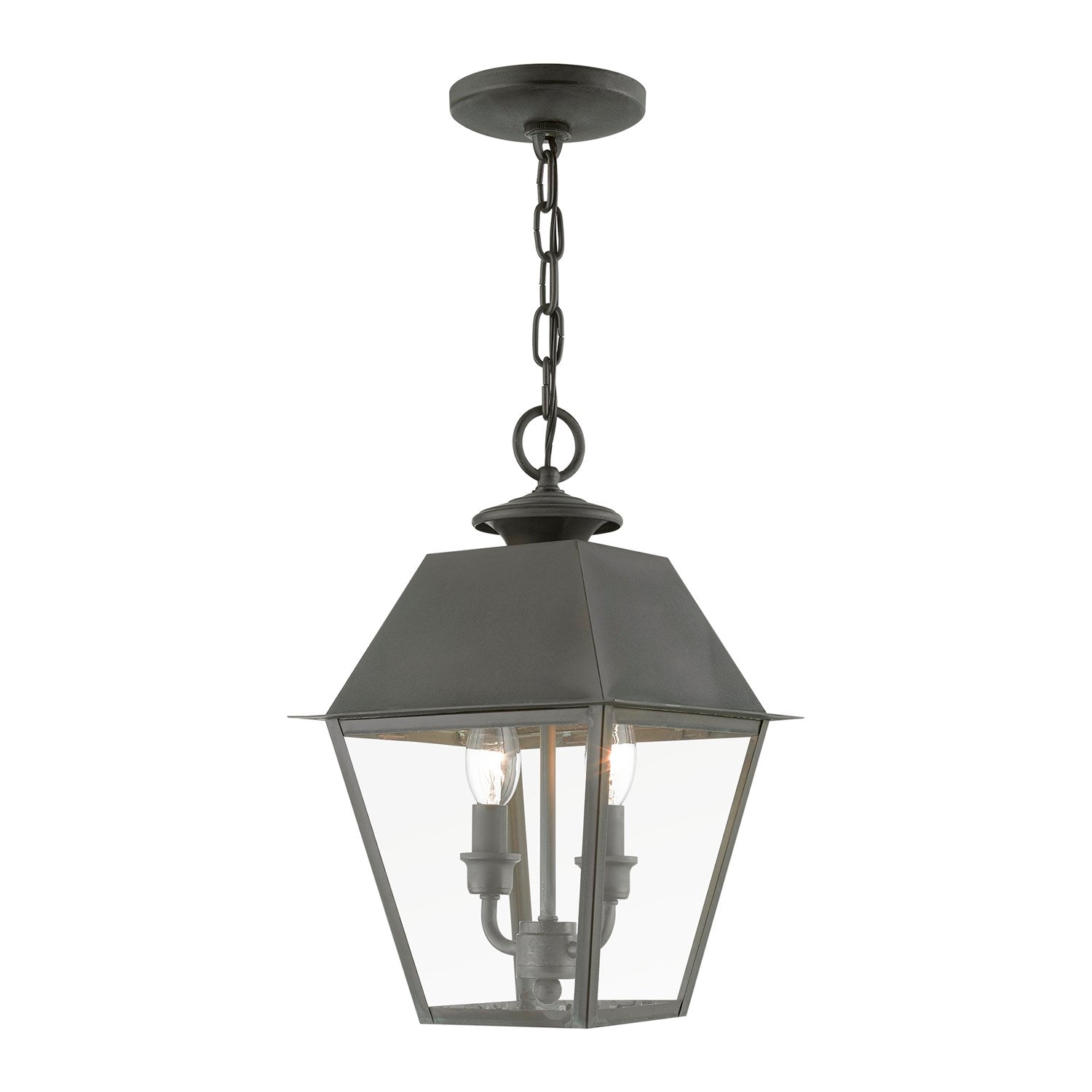 2 Light Charcoal Outdoor Medium Pendant Lantern by Livex Lighting