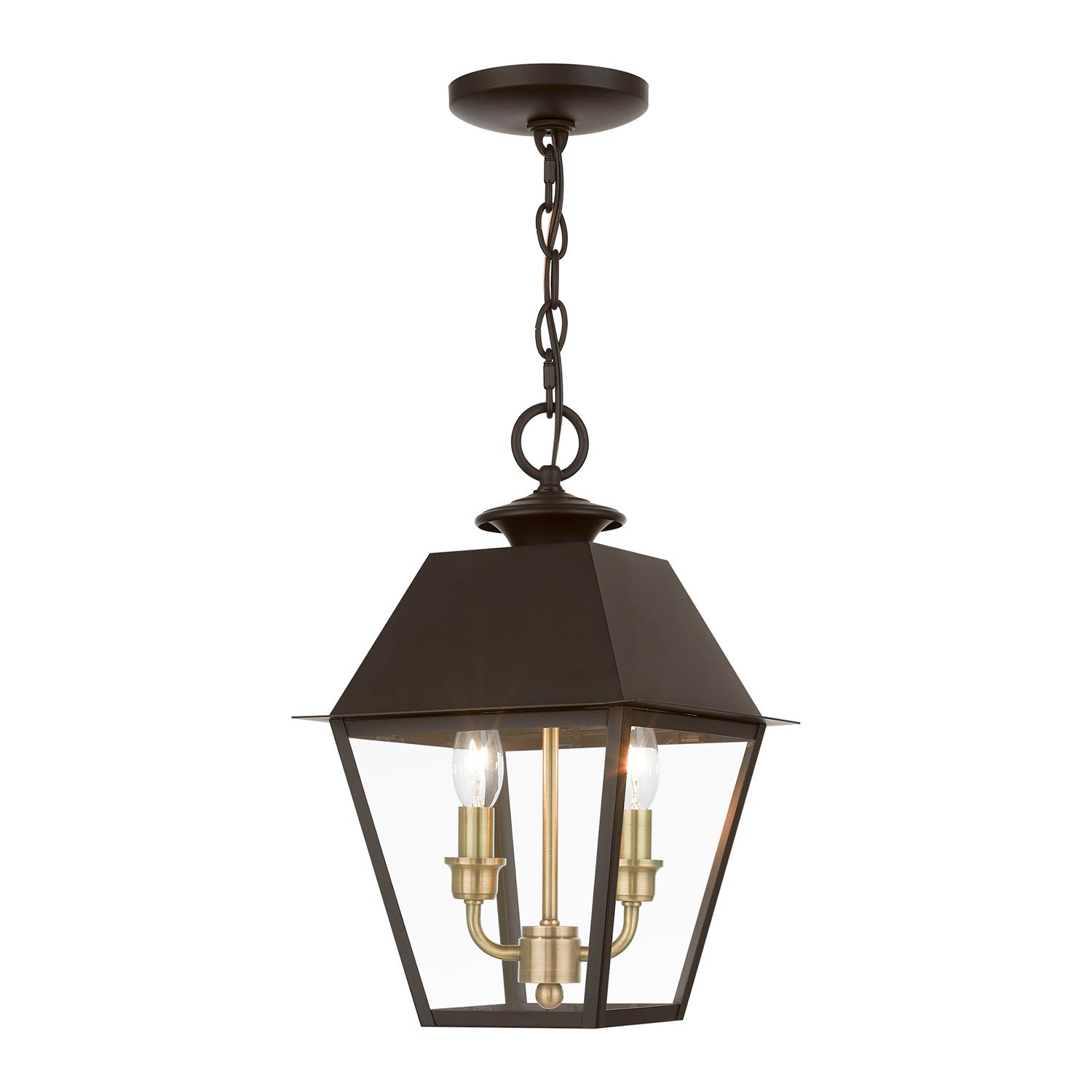 2 Light Bronze With Antique Brass Finish Cluster Outdoor Medium Pendant Lantern by Livex Lighting