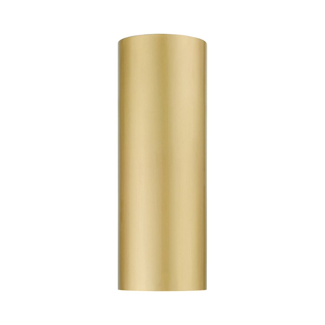 1 Light Satin Gold Outdoor / Indoor Ada Large Sconce