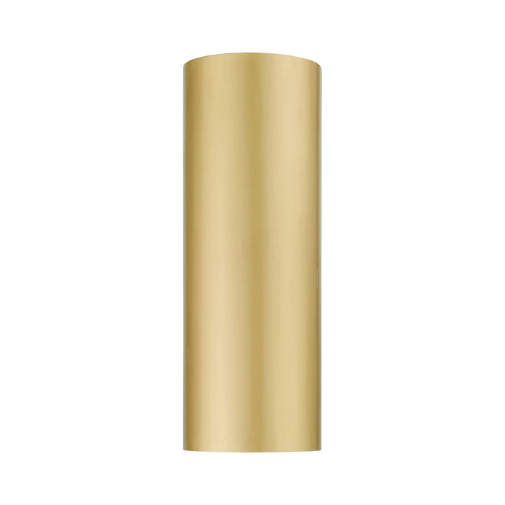 1 Light Satin Gold Outdoor / Indoor Ada Large Sconce