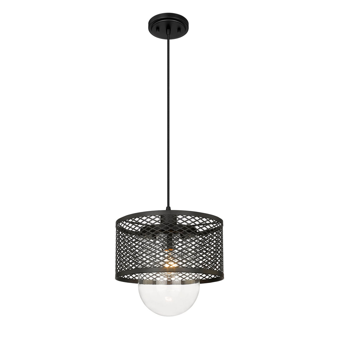 Clear 1 Light Pendant by Z-Lite