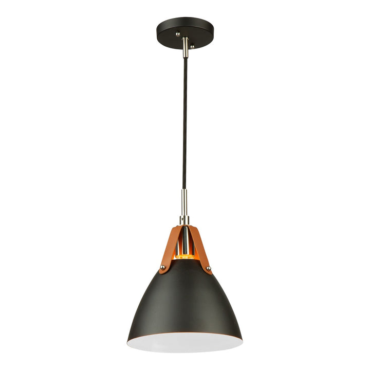 1 Light Pendant Black by Artcraft