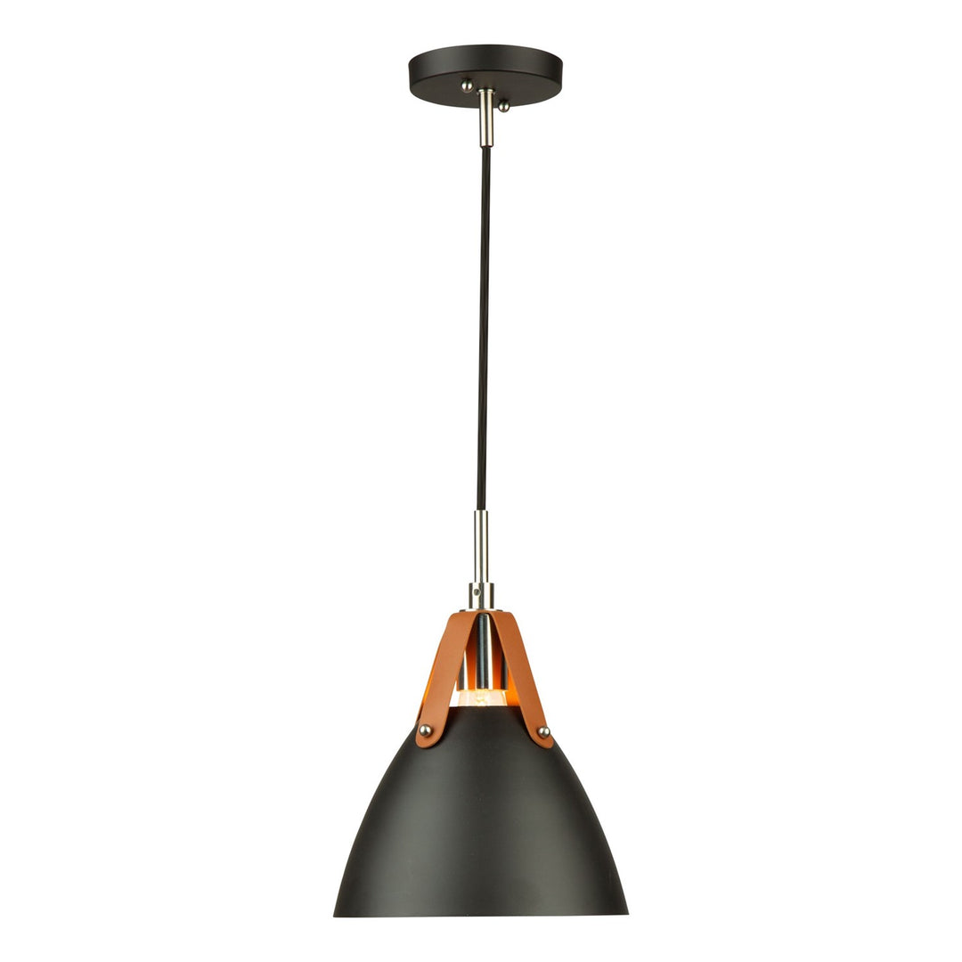 1 Light Pendant Black