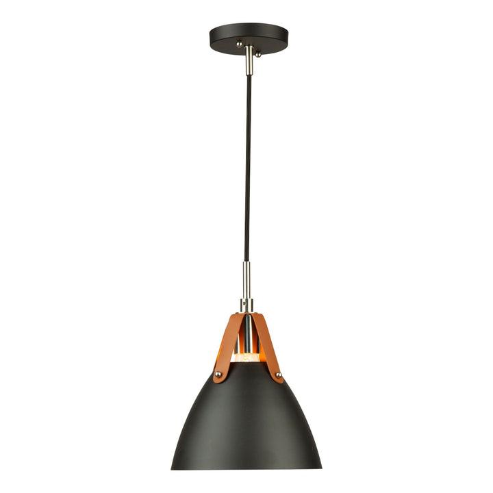 1 Light Pendant Black