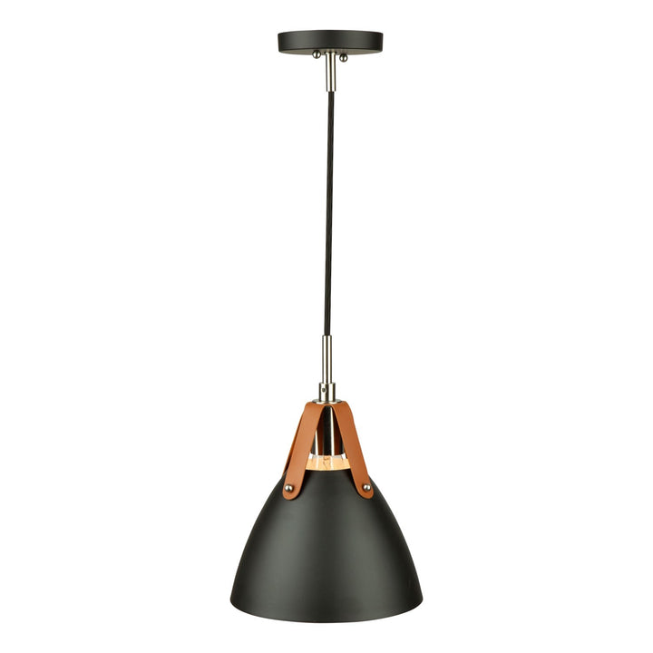1 Light Pendant Black