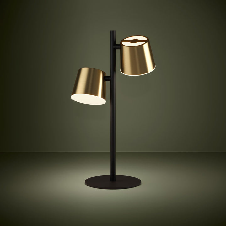 Structured Black & Brass Lamps