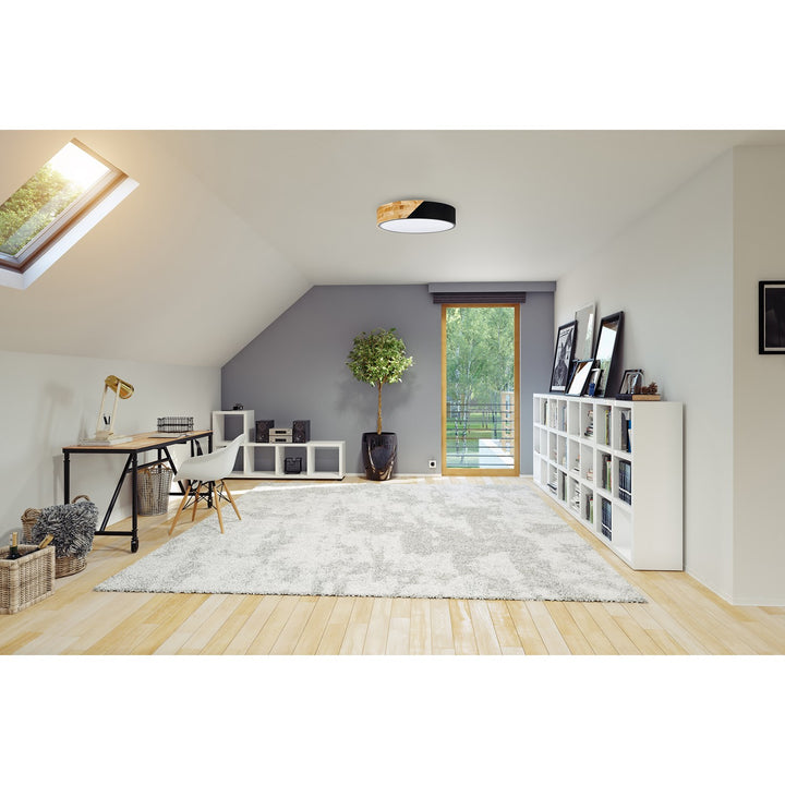Light Wood And Black Lighting - Ceiling