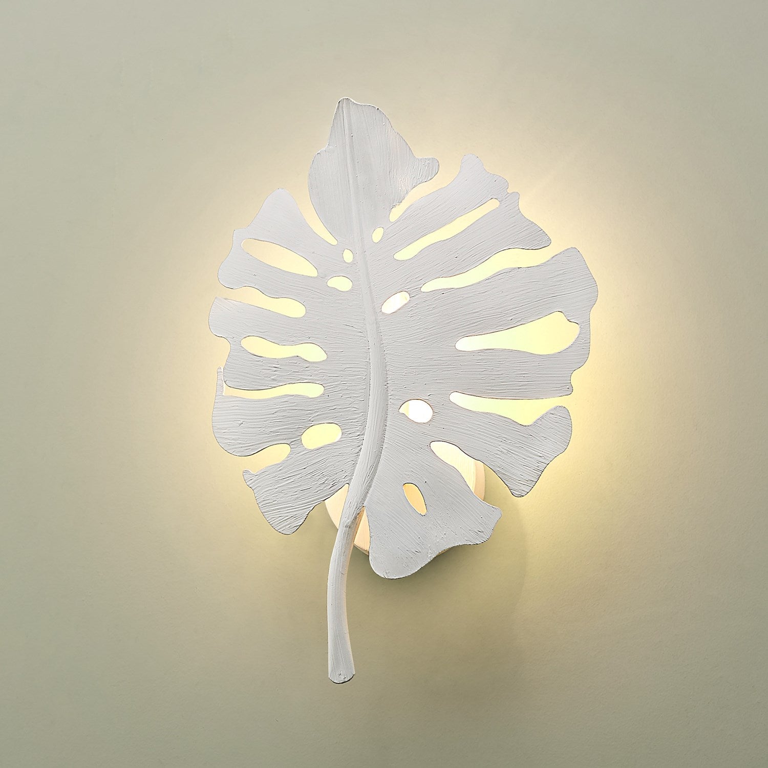1 Light Wall Sconce