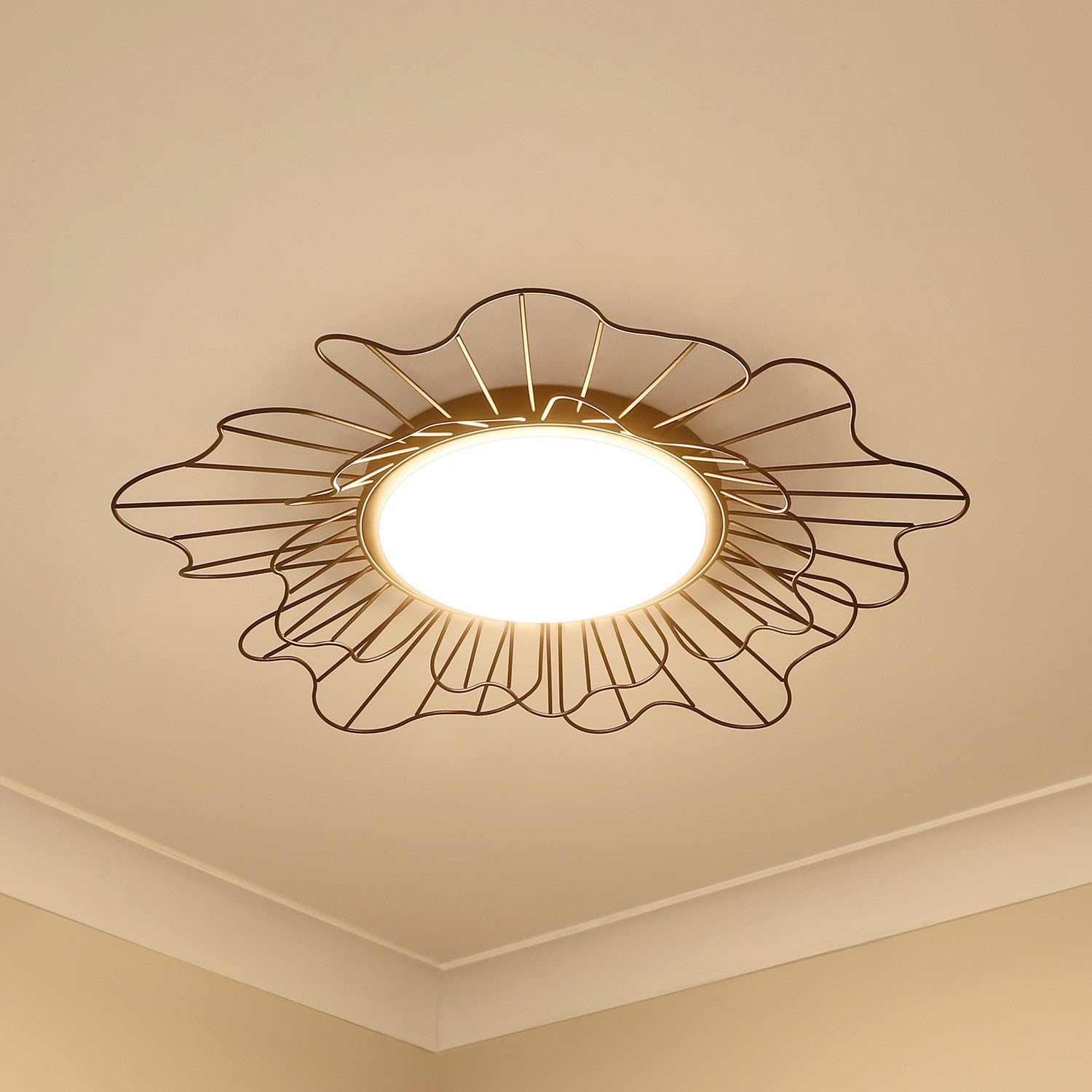 Flush Mount - 24in