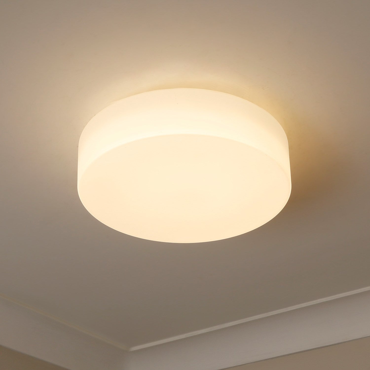 3 Light Pendant