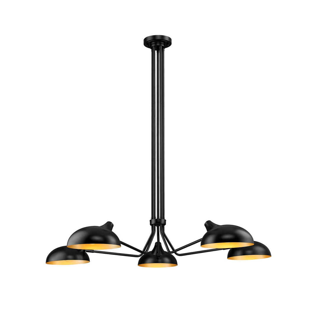 5 Light Pendant by Z-Lite
