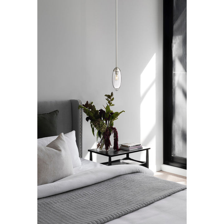 1 Light Pendant
