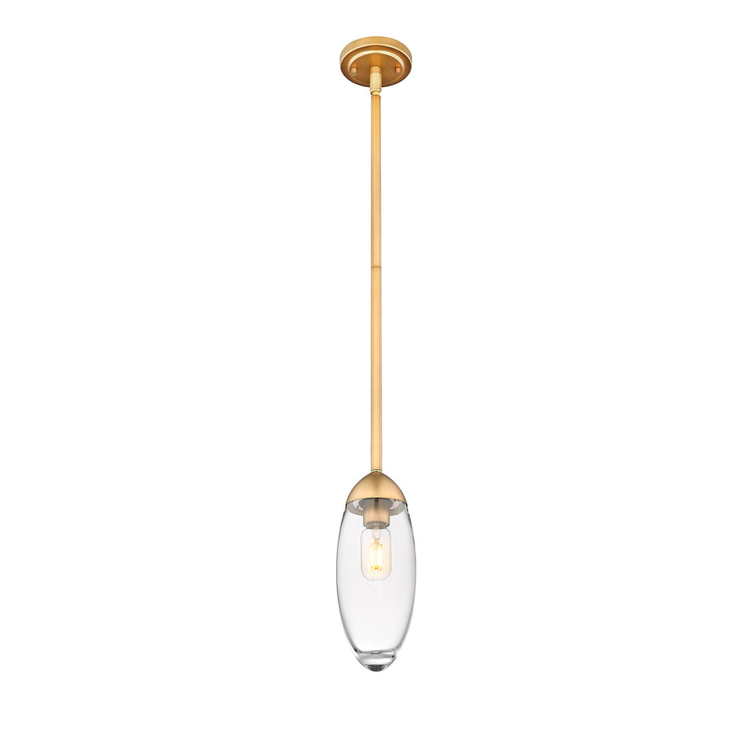 1 Light Pendant