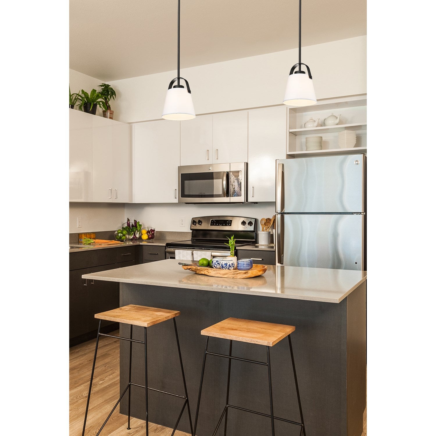 1 Light Pendant