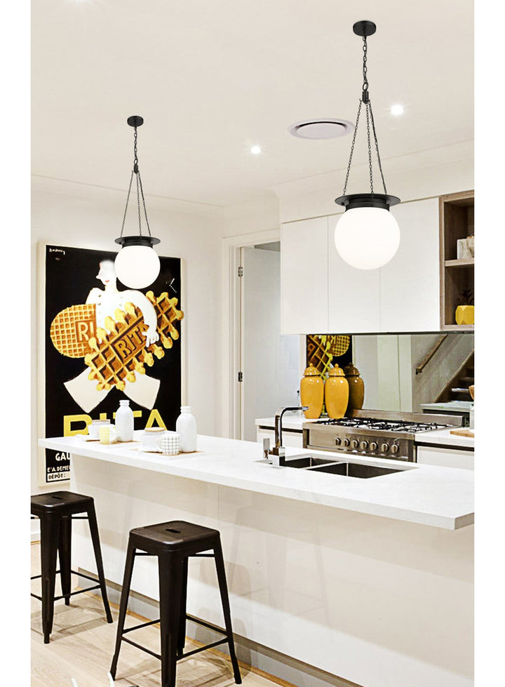 1 Light Pendant