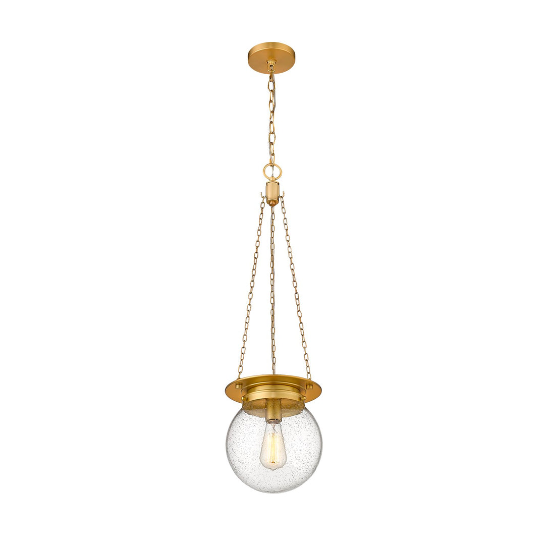 1 Light Pendant