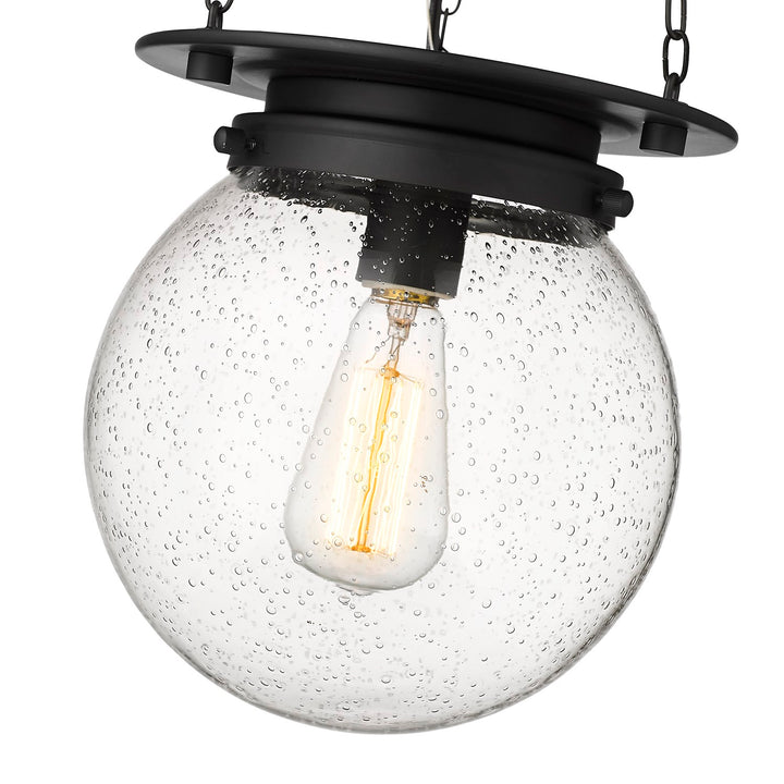 1 Light Pendant