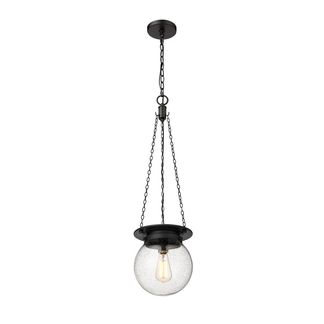1 Light Pendant