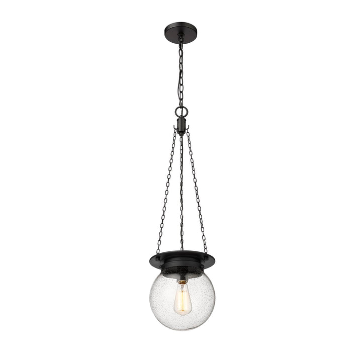 1 Light Pendant