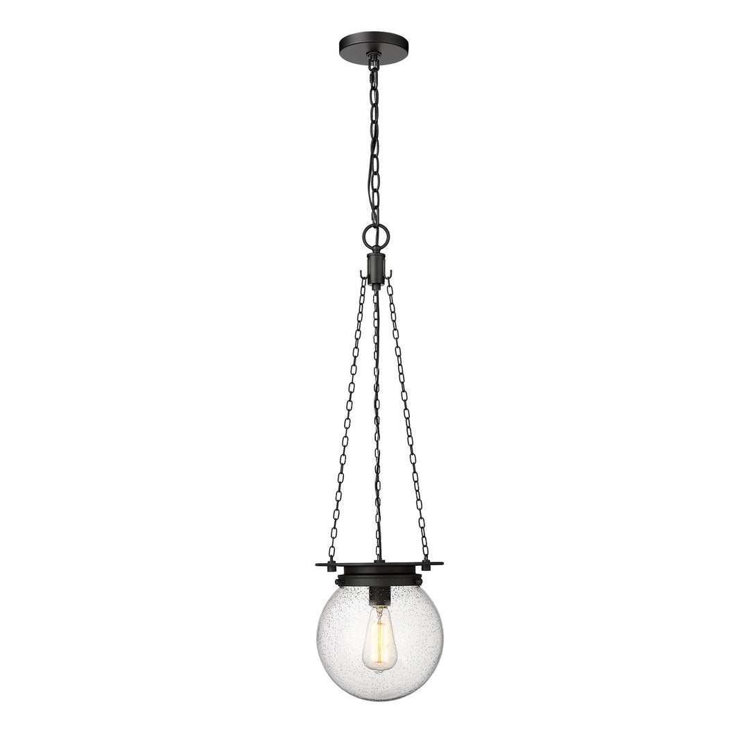 1 Light Pendant