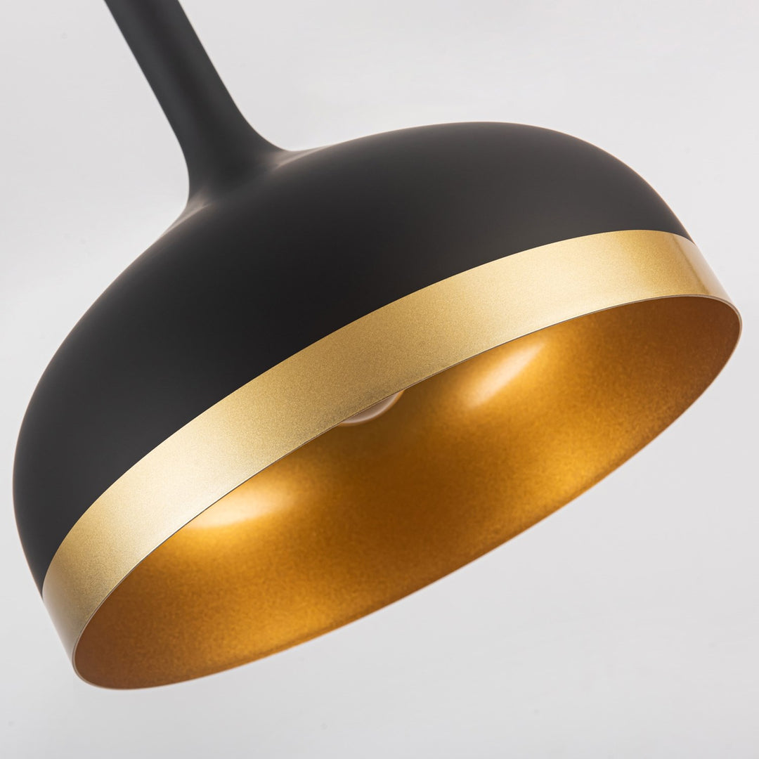 Collection 1-Light Pendant Black & Gold