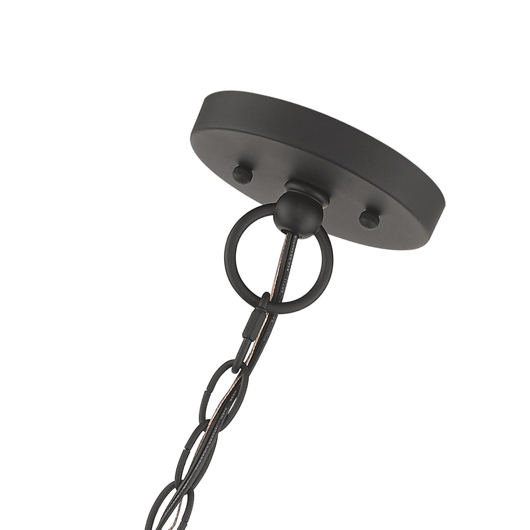 4 Light Black Outdoor Extra Large Pendant Lantern