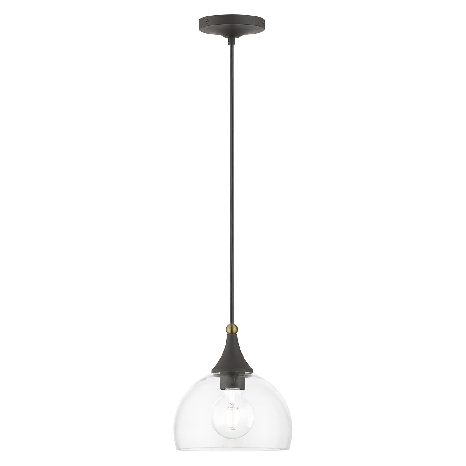 1 Light Bronze Glass Pendant With Antique Brass Finish Accents by Livex Lighting