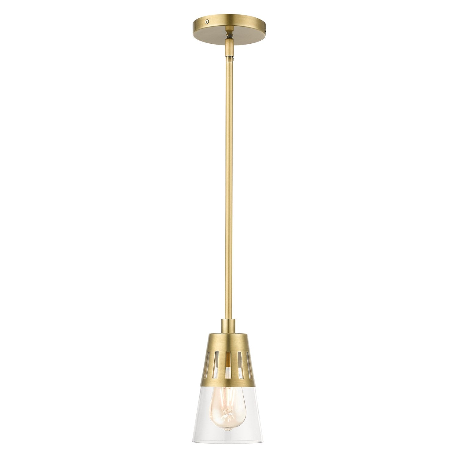 1 Light Natural Brass Mini Pendant by Livex Lighting