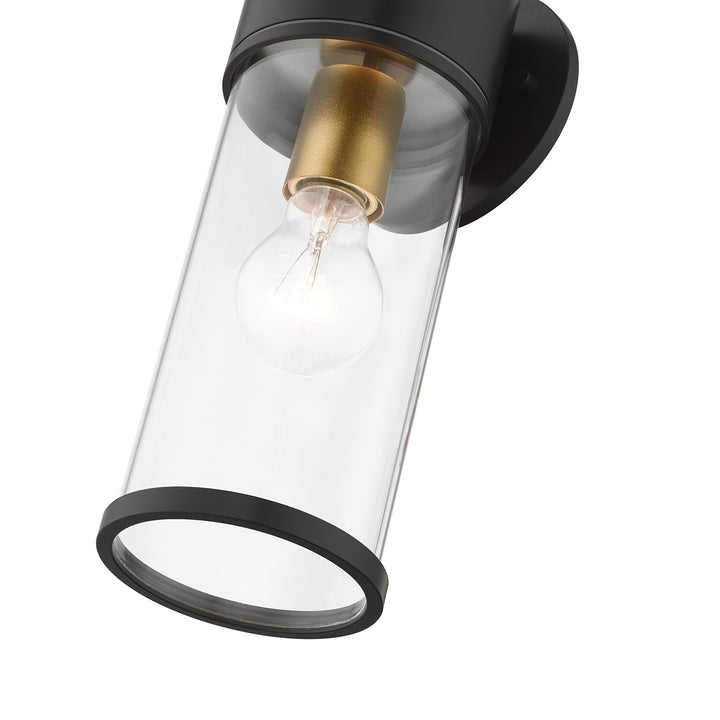 1 Light Bronze Outdoor Medium Wall Lantern With Antique Gold Finish Accents