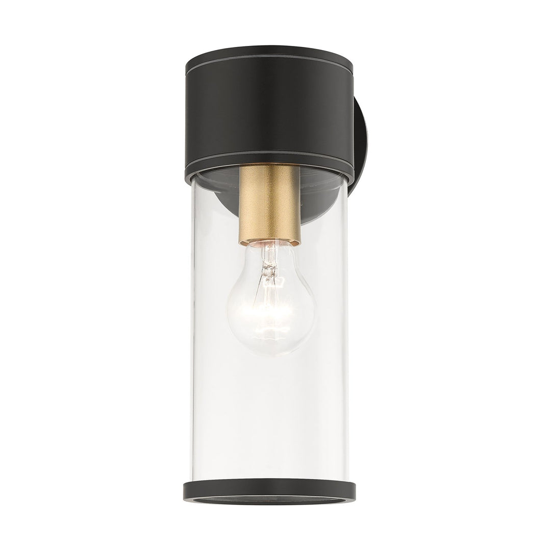 1 Light Bronze Outdoor Medium Wall Lantern With Antique Gold Finish Accents