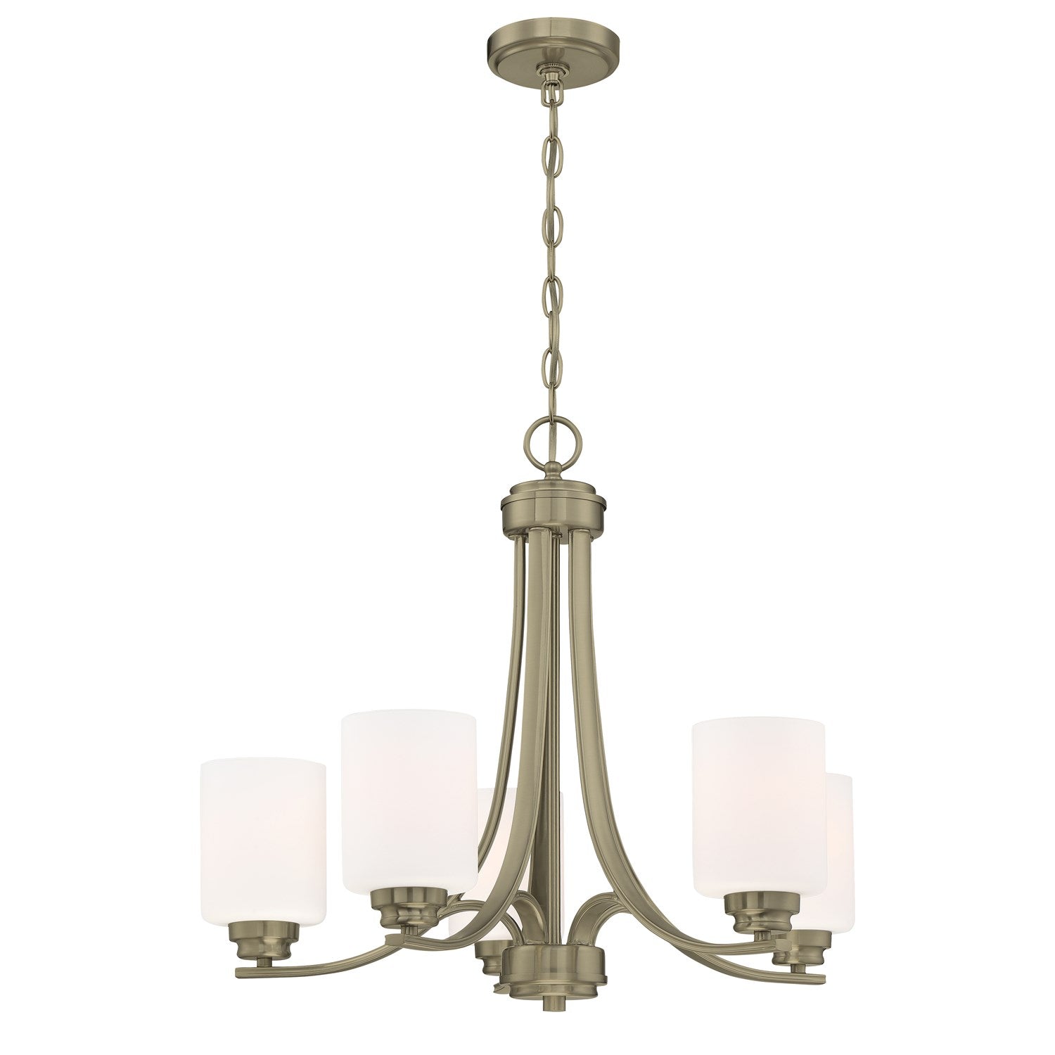 Bolden 5 Light Chandelier in Satin Brass