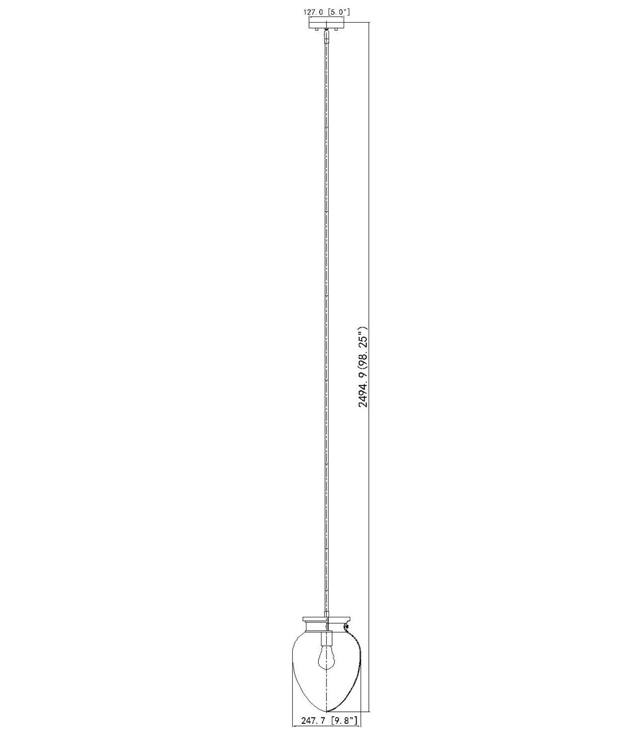 1 Light Pendant
