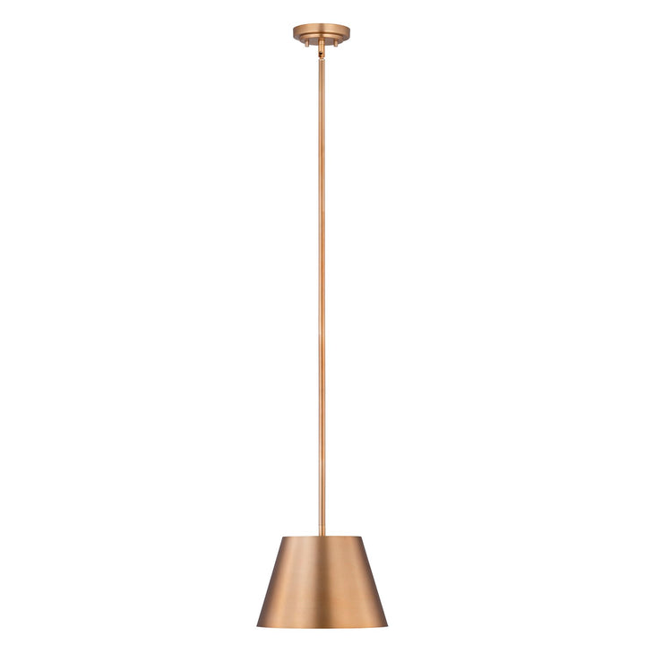 1 Light Pendant by Z-Lite