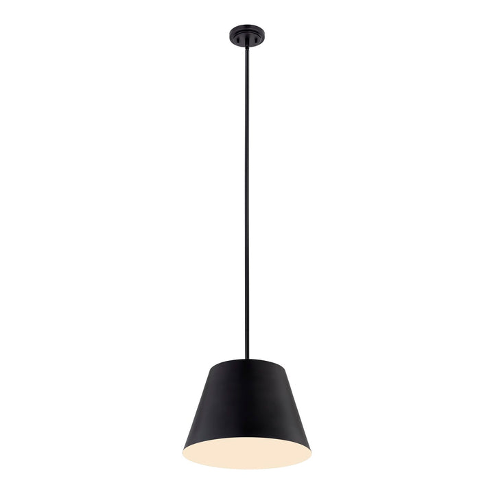 1 Light Pendant
