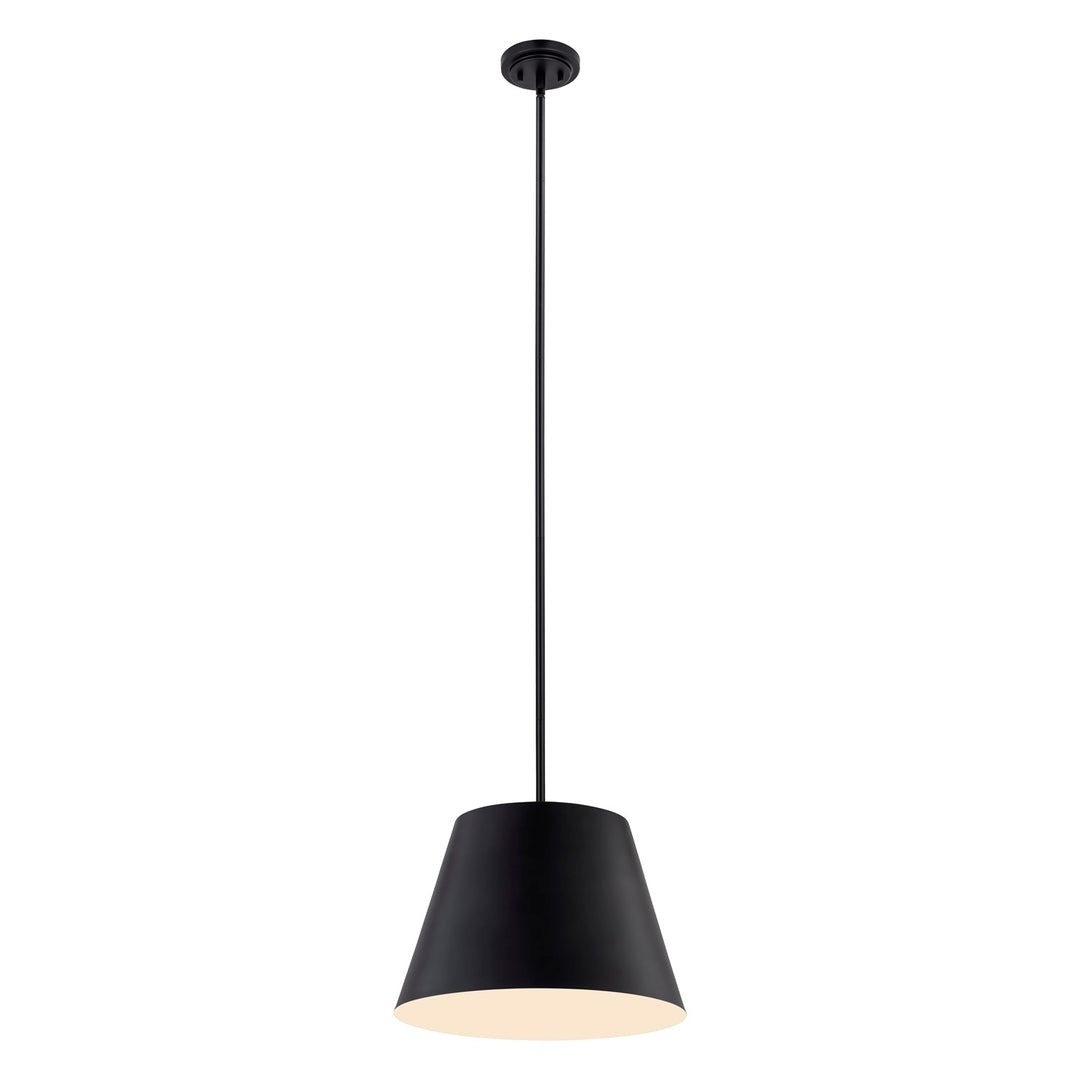 1 Light Pendant