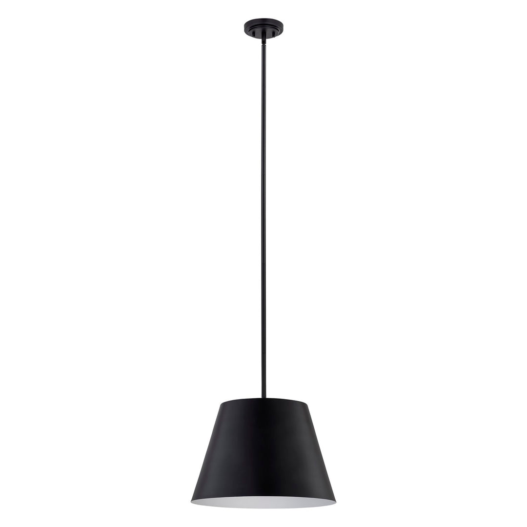 1 Light Pendant