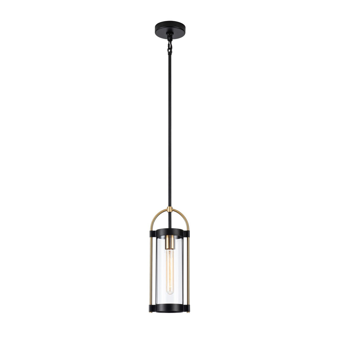 Collection 1-Light Pendant Black And Brushed Brass by Artcraft