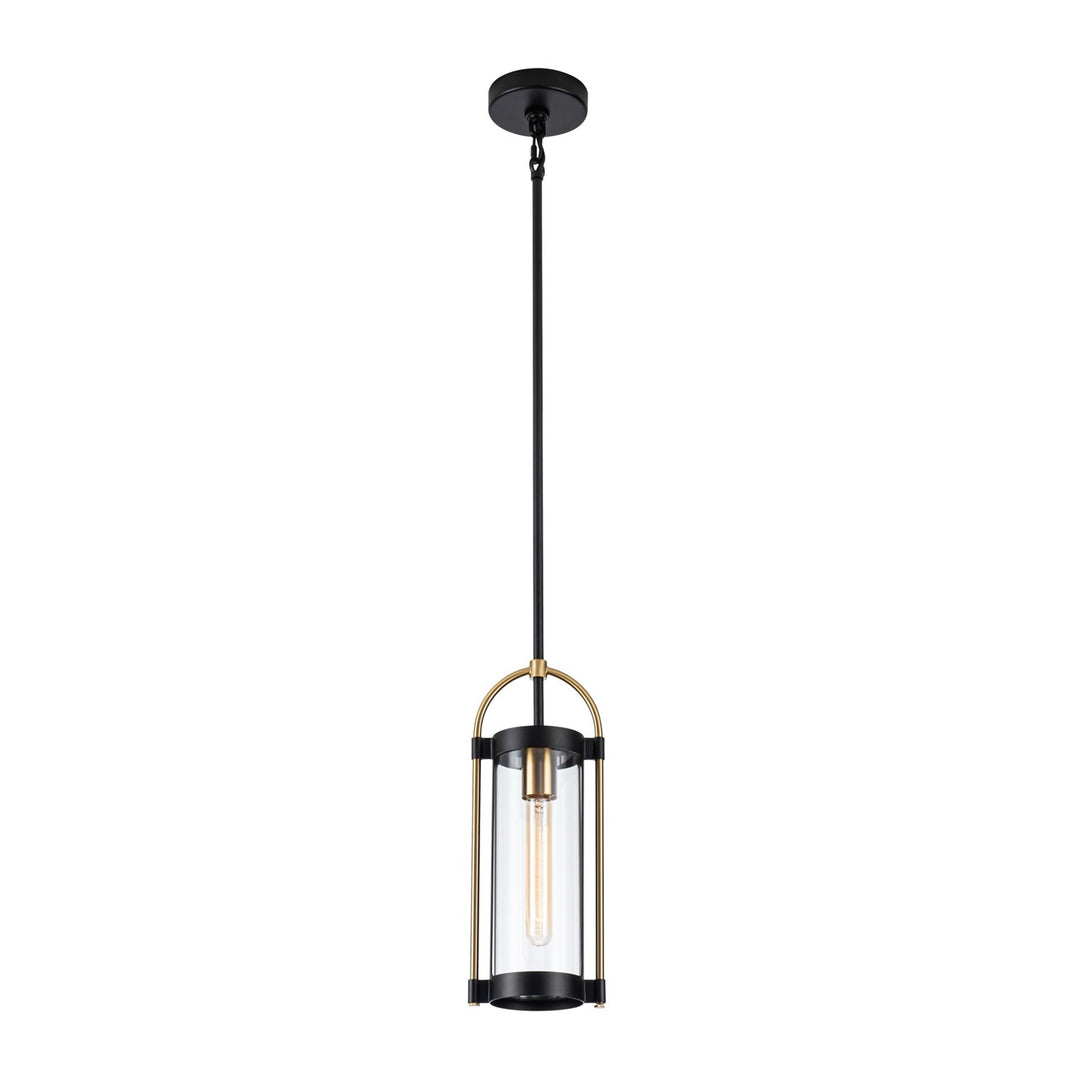 Collection 1-Light Pendant Black And Brushed Brass
