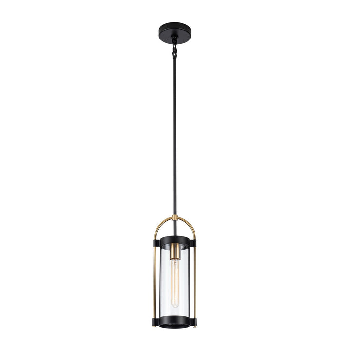 Collection 1-Light Pendant Black And Brushed Brass