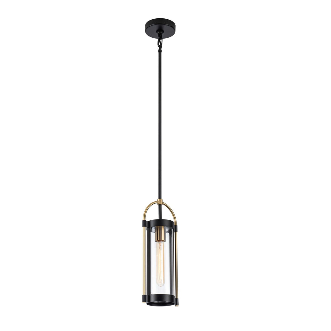 Collection 1-Light Pendant Black And Brushed Brass