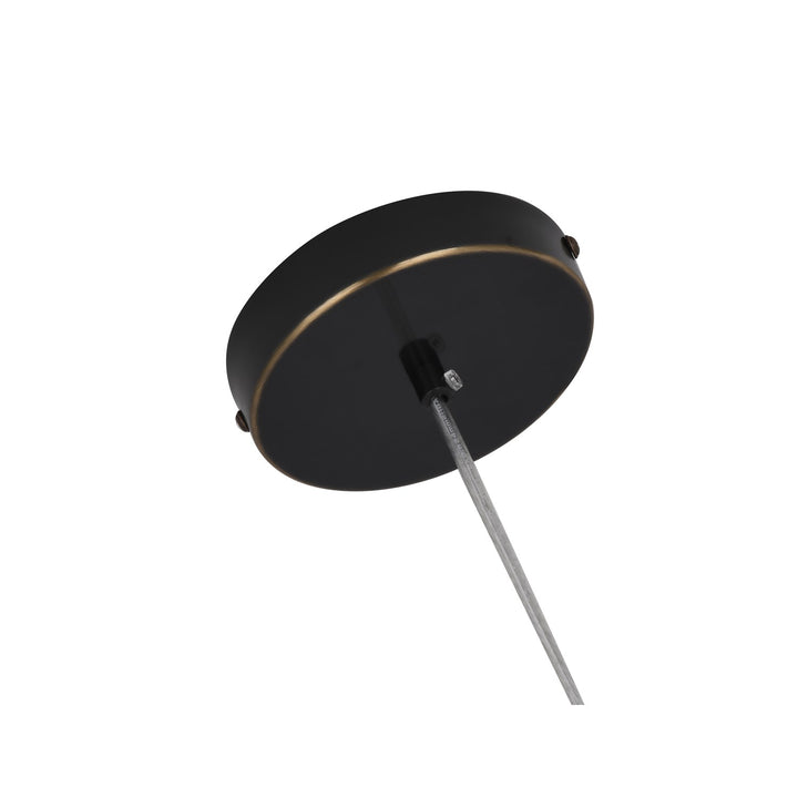 Led Pendant In Matte Black Finish