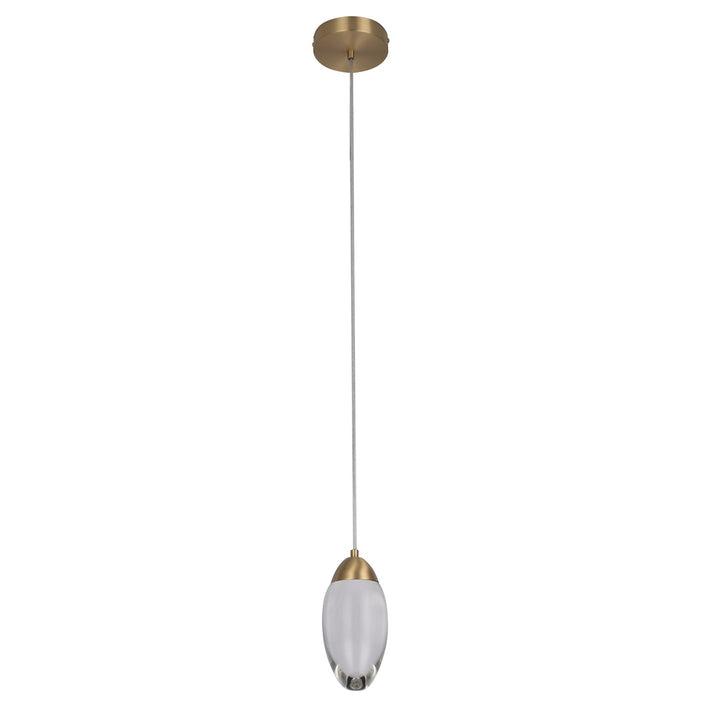 Led Pendant In Brass Finish