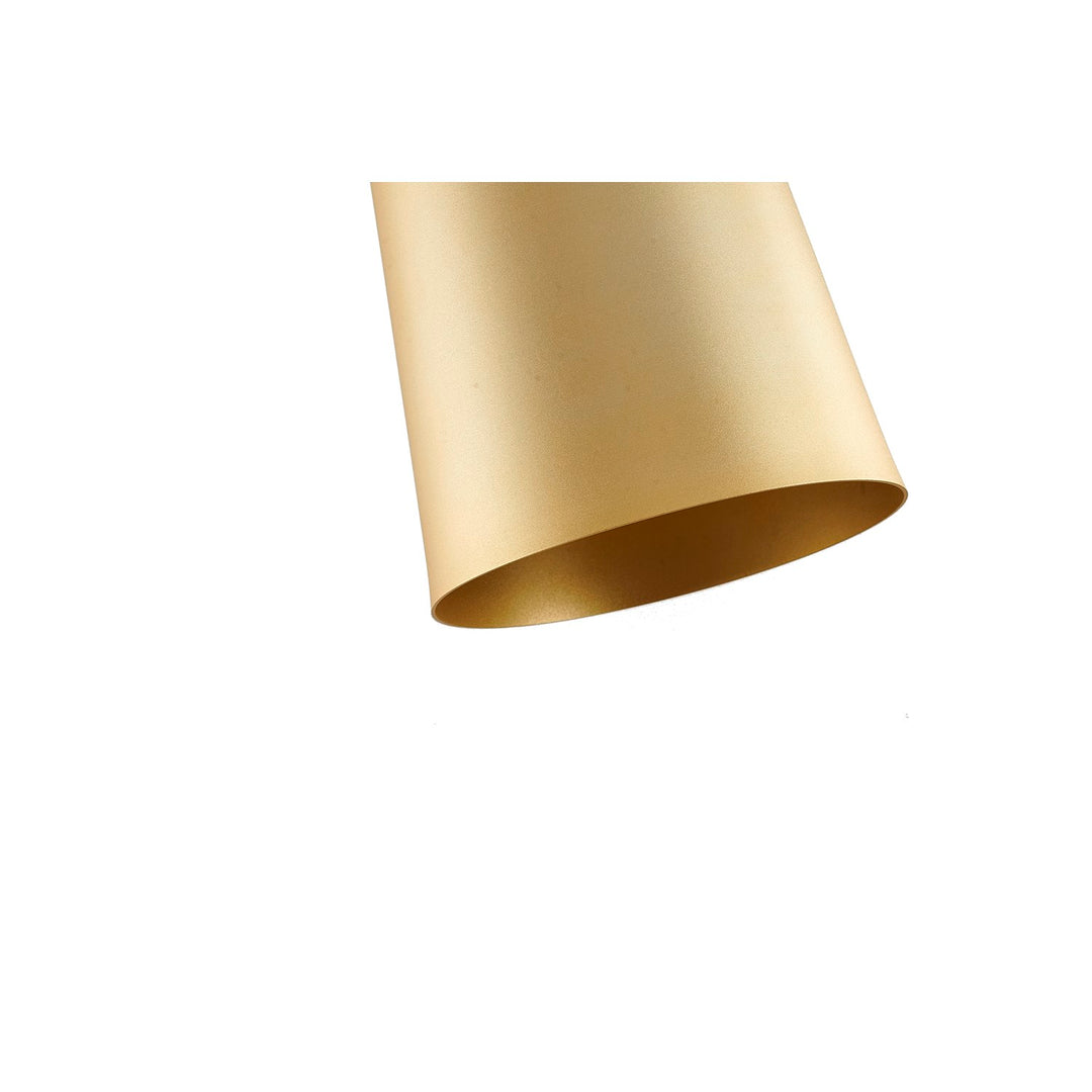 Pendant In Black & Gold Finish