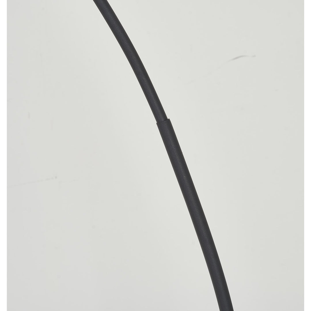 Floor Lamp In Matte Black Finish