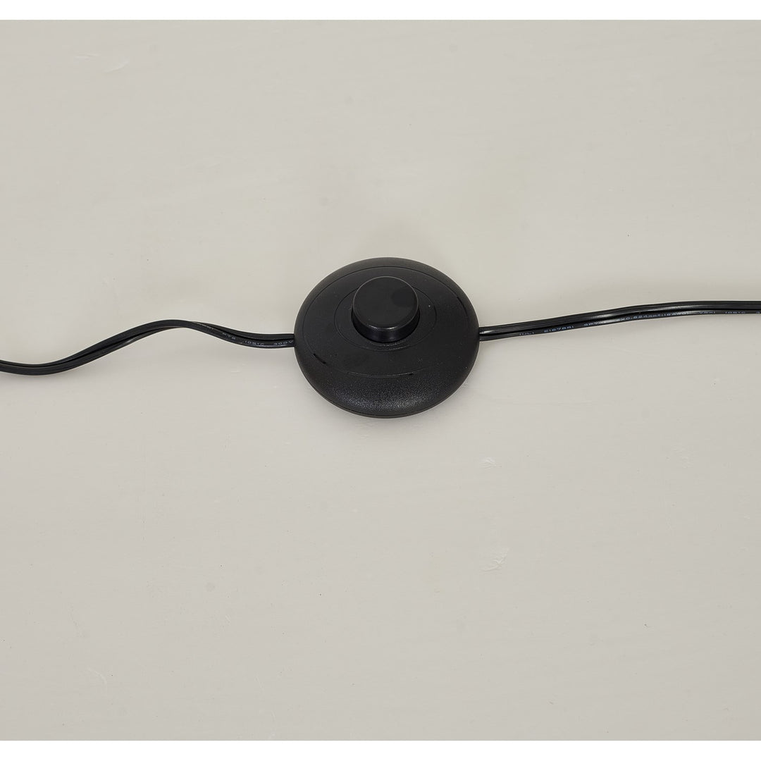 Floor Lamp In Matte Black Finish
