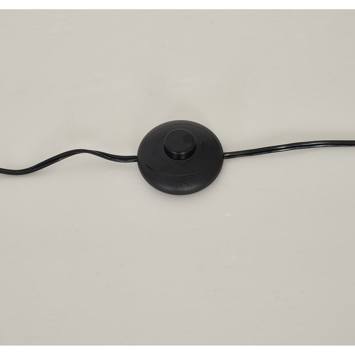 Floor Lamp In Matte Black Finish